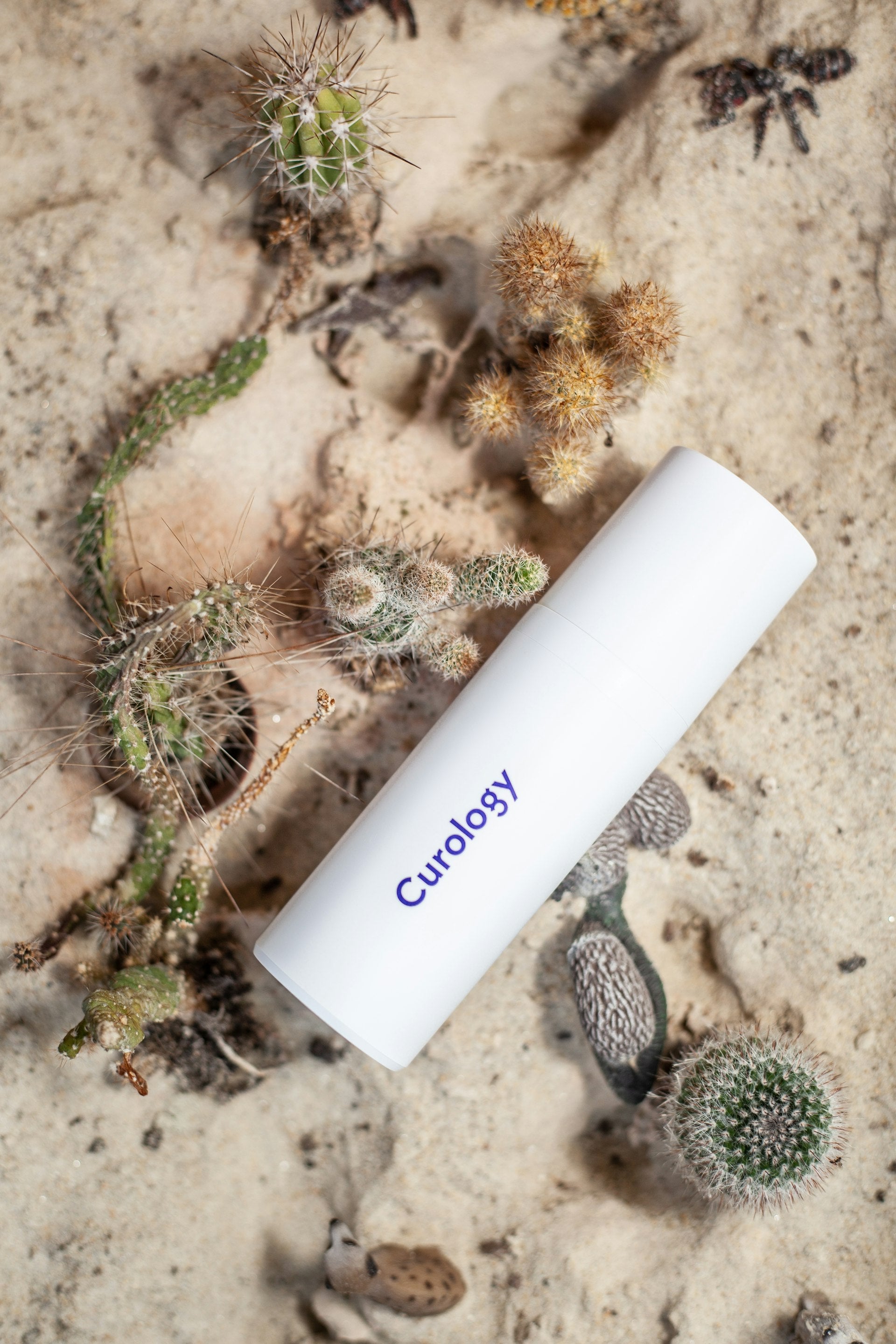 SnailGlow Hero Banner - Korean Skincare